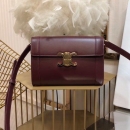 セリーヌ セリーヌ ミニバッグ 195263